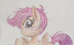 Size: 2170x1336 | Tagged: safe, alternate version, artist:ponywarlord777, imported from derpibooru, scootaloo, pegasus, pony, anime, blush sticker, blushing, frown, solo, traditional art