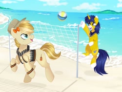 Size: 1765x1331 | Tagged: safe, artist:freyamilk, imported from derpibooru, oc, oc:seigwestwood, oc:swell, earth pony, pony, unicorn, bandana, beach, bow, clothes, commission, hair bow, hat, hoodie, island, ocean, sports, volleyball, volleyball net, water, ych result