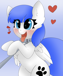 Size: 2489x3000 | Tagged: safe, artist:pegamutt, imported from derpibooru, oc, oc:snow pup, pegasus, pony, behaving like a dog, blushing, collar, commission, happy, heart, leash, open mouth, panting, pet play, simple background, tongue out, ych result