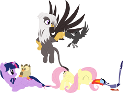 Size: 3534x2680 | Tagged: safe, artist:porygon2z, imported from derpibooru, fluttershy, owlowiscious, twilight sparkle, oc, oc:raiza, oc:sabrina, bird, crow, griffon, owl, pegasus, pony, raven (bird), toucan, unicorn, female, fist bump, folded wings, horn, hornbill, mare, simple background, spread wings, the lion king, transparent background, unicorn twilight, wings, zazu