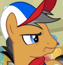 Size: 684x706 | Tagged: safe, imported from derpibooru, screencap, quibble pants, earth pony, pony, common ground, season 9, spoiler:s09, accessory, angry, close-up, cropped, grumpy, hat, implied rainbow dash, male, reaction image, solo, stallion