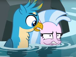 Size: 980x740 | Tagged: safe, imported from derpibooru, screencap, gallus, silverstream, griffon, seapony (g4), what lies beneath, cropped, duo, seapony silverstream