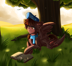 Size: 1750x1600 | Tagged: safe, artist:yuris, imported from derpibooru, oc, oc only, oc:autumn rosewood, pegasus, pony, beret, book, clothes, field, grass, grass field, hat, male, pegasus oc, scarf, solo, sun, tail, tree, wings, wood