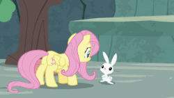 Size: 1920x1080 | Tagged: safe, imported from derpibooru, screencap, angel bunny, fluttershy, pegasus, pony, rabbit, season 9, she talks to angel, spoiler:s09, animal, animated, butt, duo, female, male, mare, plot, sound, webm