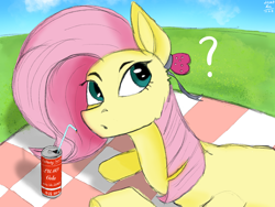 Size: 2160x1620 | Tagged: safe, artist:lumo_xu, imported from derpibooru, fluttershy, pegasus, pony, looking at you, picnic, question mark, sky, soda, solo