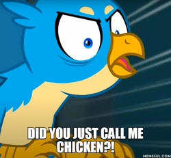 Size: 600x554 | Tagged: safe, edit, edited screencap, imported from derpibooru, screencap, gallus, griffon, uprooted, angry, bags under eyes, beak, caption, gallus the rooster, gallusposting, image macro, meme, memeful.com, open beak, open mouth, solo, text
