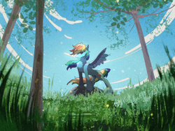 Size: 2160x1620 | Tagged: safe, artist:lendftcn, imported from derpibooru, rainbow dash, pegasus, pony, chest fluff, female, film grain, grass, mare, sky, solo, spread wings, tree, wings