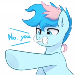 Size: 2048x2038 | Tagged: safe, artist:maren, imported from derpibooru, oc, oc only, oc:blue chewings, earth pony, pony, dialogue, no u, pointing, simple background, solo, white background