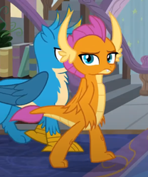 Size: 490x588 | Tagged: safe, imported from derpibooru, screencap, gallus, smolder, dragon, griffon, school daze, season 8, spoiler:s08, cropped, dragoness, female, looking at you, smolder is not amused, unamused