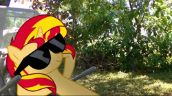 Size: 750x419 | Tagged: safe, artist:bastbrushie, imported from derpibooru, sunset shimmer, pony, unicorn, equestria girls, backyard, outdoors, real life background, relaxing, solo, sunglasses