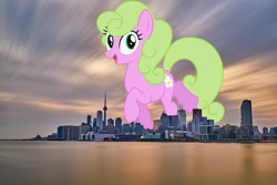 Size: 2048x1367 | Tagged: safe, artist:bluemeganium, artist:jaredking779, imported from derpibooru, daisy, flower wishes, earth pony, pony, background pony, canada, female, giant pony, giant/macro earth pony, giantess, highrise ponies, irl, looking at you, macro, mare, mega giant, open mouth, photo, ponies in real life, smiling, solo, toronto