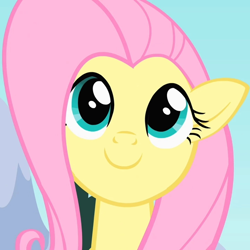 Size: 720x720 | Tagged: safe, imported from derpibooru, screencap, fluttershy, pegasus, pony, season 1, sonic rainboom (episode), cropped, cute, female, happy, looking at you, mare, shyabetes, smiling, solo