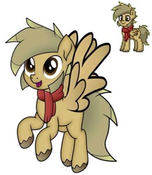 Size: 720x825 | Tagged: safe, imported from derpibooru, oc, oc only, oc:coffee coat, pegasus, pony, clothes, scarf, simple background, solo, white background