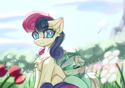 Size: 4096x2887 | Tagged: safe, artist:jfrxd, imported from derpibooru, bon bon, lyra heartstrings, sweetie drops, earth pony, pony, unicorn, absurd resolution, adorabon, blushing, chest fluff, cute, duo, ear fluff, eyes closed, female, flower, horn, lesbian, looking at you, lyrabetes, lyrabon, mare, meadow, scenery, shipping, sitting, sleeping, smiling, smiling at you, white pupils