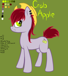 Size: 1776x1980 | Tagged: safe, artist:wingedwolf94, oc, oc only, oc:crab apple, earth pony, pony, cowboy hat, ear piercing, earring, female, hat, jewelry, mare, piercing, reference sheet
