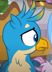 Size: 553x769 | Tagged: safe, imported from derpibooru, screencap, gallus, silverstream, classical hippogriff, griffon, hippogriff, the hearth's warming club, cropped, male, offscreen character, solo focus