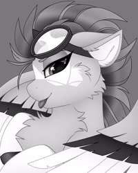 Size: 3277x4096 | Tagged: safe, artist:chromatic-sheen, imported from derpibooru, oc, oc only, oc:burst sketch, pegasus, pony, cheek fluff, chest fluff, female, goggles, goggles on head, looking at you, mare, monochrome, pegasus oc, solo, spread wings, tongue out, wings