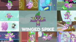 Size: 1974x1111 | Tagged: safe, edit, edited screencap, editor:quoterific, imported from derpibooru, screencap, gummy, spike, a matter of principals, a trivial pursuit, best gift ever, father knows beast, marks for effort, molt down, school raze, sparkle's seven, sweet and smoky, the big mac question, the ending of the end, the point of no return, yakity-sax, clothes, costume, cute, dangerous mission outfit, goggles, hoodie, hot air balloon, mirror, pajamas, projector, spikabetes