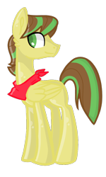 Size: 600x1000 | Tagged: safe, artist:thecreativerey, imported from derpibooru, oc, oc only, pegasus, pony, male, neckerchief, pegasus oc, simple background, solo, stallion, transparent background