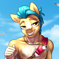 Size: 1072x1072 | Tagged: safe, artist:jedayskayvoker, imported from derpibooru, hitch trailblazer, anthro, bird, earth pony, seagull, advertisement, bust, cloud, eyebrows, g5, lifeguard, looking at you, male, outdoors, patreon, patreon preview, portrait, raised eyebrow, sky, smiling, smiling at you, solo, stallion, wet, whistle