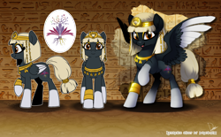 Size: 4000x2480 | Tagged: safe, artist:dormin-dim, imported from derpibooru, oc, oc only, pegasus, pony, commission, egyptian, egyptian headdress, egyptian pony, hieroglyphics, palindrome get, reference sheet, solo