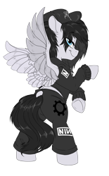 Size: 2480x4000 | Tagged: safe, artist:dormin-dim, imported from derpibooru, oc, oc only, pegasus, pony, cap, clothes, eye clipping through hair, hat, hoodie, nine inch nails, pants, simple background, solo, tail, tail hole, transparent background