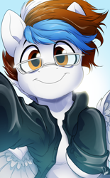 Size: 2480x4000 | Tagged: safe, artist:dormin-dim, imported from derpibooru, oc, oc only, oc:soul beat, pegasus, pony, clothes, commission, glasses, looking at you, male, smiling, smiling at you, solo