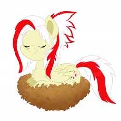 Size: 2048x2048 | Tagged: safe, artist:karzii, imported from derpibooru, oc, oc only, oc:redsun, pegasus, pony, eyes closed, female, folded wings, mare, nest, simple background, sitting, smiling, solo, white background, wings