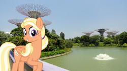 Size: 2048x1152 | Tagged: safe, artist:cheezedoodle96, artist:jaredking779, edit, imported from derpibooru, mane allgood, pegasus, pony, female, folded wings, irl, looking at you, mare, photo, ponies in real life, singapore, smiling, solo, wings