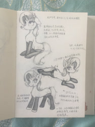 Size: 2448x3264 | Tagged: safe, artist:zpdea, imported from derpibooru, pony, unicorn, chinese, clothes, floppy ears, lying down, monochrome, notes, prone, sitting, socks, solo, standing, traditional art