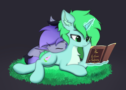 Size: 2560x1834 | Tagged: safe, artist:verlista, imported from derpibooru, oc, oc only, oc:lily moonlight, oc:mintya, bat pony, commission, duo, ear fluff, eyes closed, grass, horn, magic, shipping