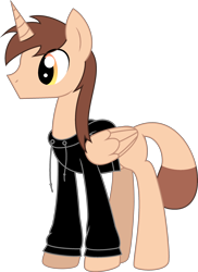 Size: 1896x2606 | Tagged: safe, artist:emc-blingds, imported from derpibooru, oc, oc only, alicorn, pony, alicorn oc, clothes, hoodie, horn, male, simple background, solo, stallion, transparent background, wings