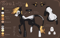 Size: 3559x2246 | Tagged: safe, artist:thelazyponyy, imported from derpibooru, oc, oc only, oc:soul, earth pony, pony, earth pony oc, raised hoof, reference sheet, solo