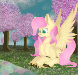 Size: 2016x1960 | Tagged: safe, artist:4agonism, imported from derpibooru, fluttershy, bat pony, pony, :o, alternate hairstyle, bat ponified, cherry blossoms, cherry tree, cloud, colored hooves, cute, evil grin, flutterbat, grin, hoof fluff, lineless, looking at something, lying down, open mouth, prone, race swap, reflection, shyabetes, smiling, spread wings, surprised, tree, unshorn fetlocks, wings