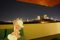 Size: 2048x1362 | Tagged: safe, artist:estories, artist:jaredking779, imported from derpibooru, applejack, earth pony, pony, colorado, cowboy hat, denver, eyes closed, female, hat, irl, mare, photo, ponies in real life, sitting, solo, stetson