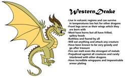 Size: 2339x1460 | Tagged: safe, artist:aleximusprime, imported from derpibooru, dragon, wyvern, fanfic:my little sister is a dragon, flurry heart's story, dragon wings, headcanon, horns, spikes, western drake, wings