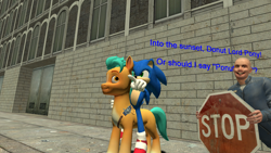 Size: 1920x1080 | Tagged: safe, artist:media buff, imported from derpibooru, hitch trailblazer, earth pony, hedgehog, human, pony, 3d, censored, city, donut lord, funny, g5, gmod, half-life, half-life 2, hedgehogs riding ponies, humor, joke, male, male 04, riding, sonic the hedgehog, sonic the hedgehog (series), stop sign, voice actor joke