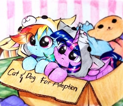 Size: 2602x2247 | Tagged: safe, artist:liaaqila, imported from derpibooru, rainbow dash, twilight sparkle, alicorn, pegasus, pony, :<, animal costume, blurry background, cardboard box, clothes, costume, cute, daaaaaaaaaaaw, dashabetes, duo, eye clipping through hair, female, folded wings, horn, lesbian, liaaqila is trying to murder us, liaaqila is trying to murder us with dashabetes, mare, peagsus, shipping, squishy cheeks, text, tiny, tiny ponies, twiabetes, twidash, twilight sparkle (alicorn), weapons-grade cute, wings