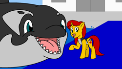 Size: 1280x720 | Tagged: safe, artist:orcasnack-garth, imported from derpibooru, oc, oc only, oc:marine delight, orca, pony, unicorn, clothes, countershading, cute, female, imminent vore, male, mare, one-piece swimsuit, swimsuit