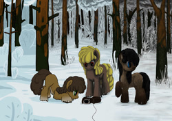 Size: 1063x752 | Tagged: safe, artist:dr-fade, imported from derpibooru, oc, oc only, bait, boots, forest, shoes, snow, trio, yakutian horse