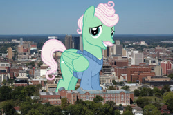 Size: 1024x682 | Tagged: safe, artist:cheezedoodle96, artist:jaredking779, edit, imported from derpibooru, gentle breeze, pegasus, pony, alabama, birmingham, facial hair, folded wings, giant pegasus, giant pony, highrise ponies, irl, looking at you, macro, male, mega giant, moustache, photo, ponies in real life, smiling, solo, stallion, wings
