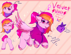 Size: 4096x3186 | Tagged: safe, artist:legionsunite, imported from derpibooru, oc, oc:velvet volt, pegasus, :3, bandana, butt, clothes, female, flying, looking at you, mare, plot, ponytail, reference sheet, sign, sweater, text