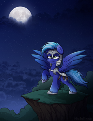 Size: 2024x2624 | Tagged: safe, artist:madelinne, imported from derpibooru, oc, oc only, pegasus, pony, armor, commission, moon, night, royal guard, solo, stars