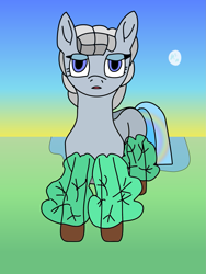 Size: 1503x2000 | Tagged: safe, artist:timcryt, imported from derpibooru, oc, oc only, earth pony, pony, female, moon, rainbow, solo