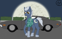 Size: 4682x2922 | Tagged: safe, artist:maître cervidé, imported from derpibooru, oc, earth pony, bush, car, clothes, moon, solo, sunglasses