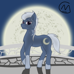 Size: 3200x3200 | Tagged: safe, artist:maître cervidé, imported from derpibooru, oc, oc:moon bright, earth pony, male, moon, night, solo