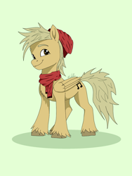 Size: 1620x2160 | Tagged: artist needed, safe, imported from derpibooru, oc, oc only, oc:coffee coat, pegasus, pony, solo