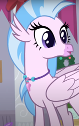 Size: 494x783 | Tagged: safe, imported from derpibooru, screencap, silverstream, classical hippogriff, hippogriff, the hearth's warming club, cropped, cute, diastreamies, female, jewelry, necklace, solo