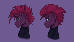 Size: 2314x1343 | Tagged: safe, artist:daazzlin, imported from derpibooru, tempest shadow, unicorn, alternate hairstyle, broken horn, cheek fluff, chin fluff, cyclone shade, eye scar, facial scar, horn, mohawk, palindrome get, profile, rule 63, scar, solo