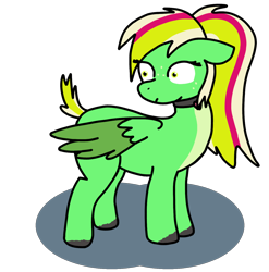 Size: 1272x1290 | Tagged: safe, artist:cocacola1012, imported from derpibooru, oc, oc only, oc:gumdrops, pegasus, pony, collar, short tail, simple background, solo, tail, transparent background